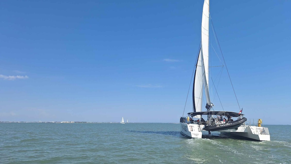Picture 10 for Activity From La Rochelle: Sailing Cruise to Fort Boyard 4