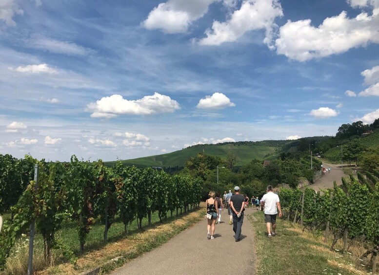 Picture 1 for Activity Stuttgart: 2-Hour Vineyard Hike with Tastings 2