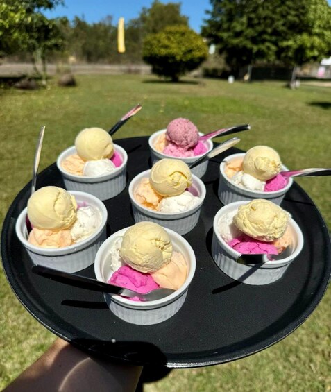 Picture 21 for Activity From Port Douglas: Atherton Tablelands Food & Wine Tasting