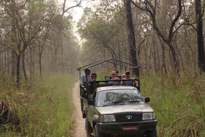 Picture 6 for Activity Kathmandu: 3-Day Chitwan Safari Tour with Hotel Transfers 2