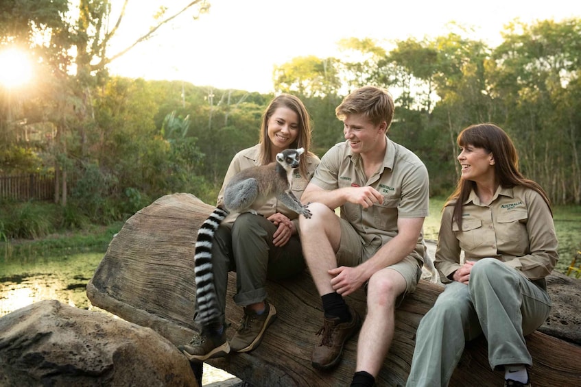 Picture 5 for Activity From Brisbane: Australia Zoo Transfer and Entry Ticket 3