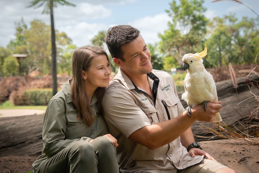 Picture 9 for Activity From Brisbane: Australia Zoo Transfer and Entry Ticket 4