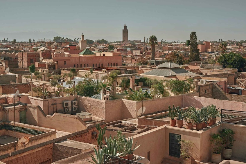 Picture 2 for Activity Marrakech: Private Half-Day City Highlights Tour 5