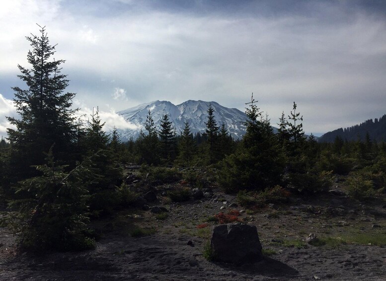 Portland: The Mt. St. Helens Adventure Tour 1