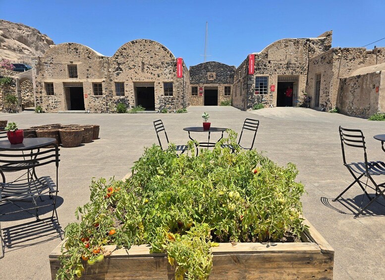 An outdoor seating area with tables and chairs, surrounded by a garden with tomato plants. 1