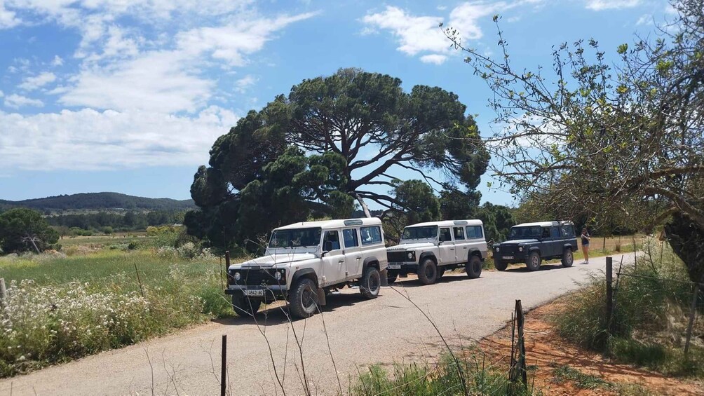 Picture 12 for Activity Ibiza: Jeep Safari Island Exploration 4