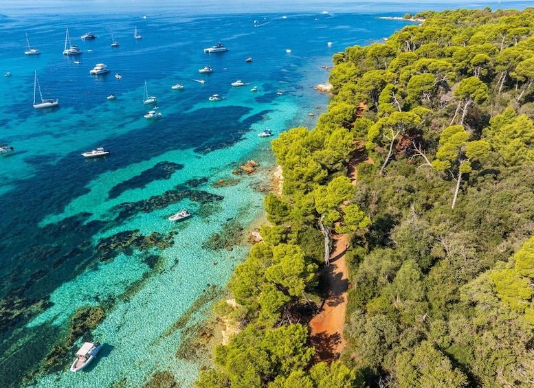 A coastal area with clear turquoise waters, numerous boats, and dense green forest. 4