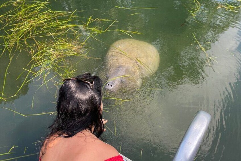 Una persona in costume rosso vicino all'acqua con un grande animale parzialmente sommerso. 1