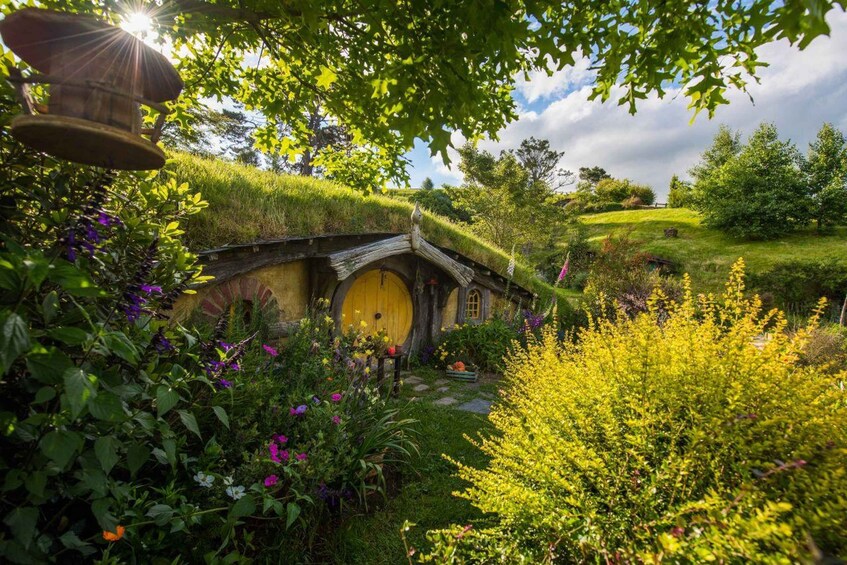 Picture 1 for Activity Hobbiton, Rotorua & Te Puia Small Group Guided Day Tour 2