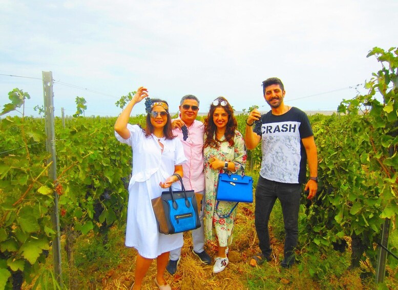 Picture 2 for Activity From Baku: Off-Road Gobustan and Wine Tour with Local Lunch 1