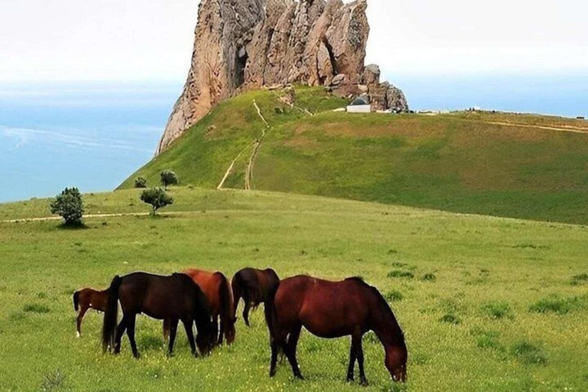 Khizi Candy Mountains, Shahdagh Full Day Guided Tour 3