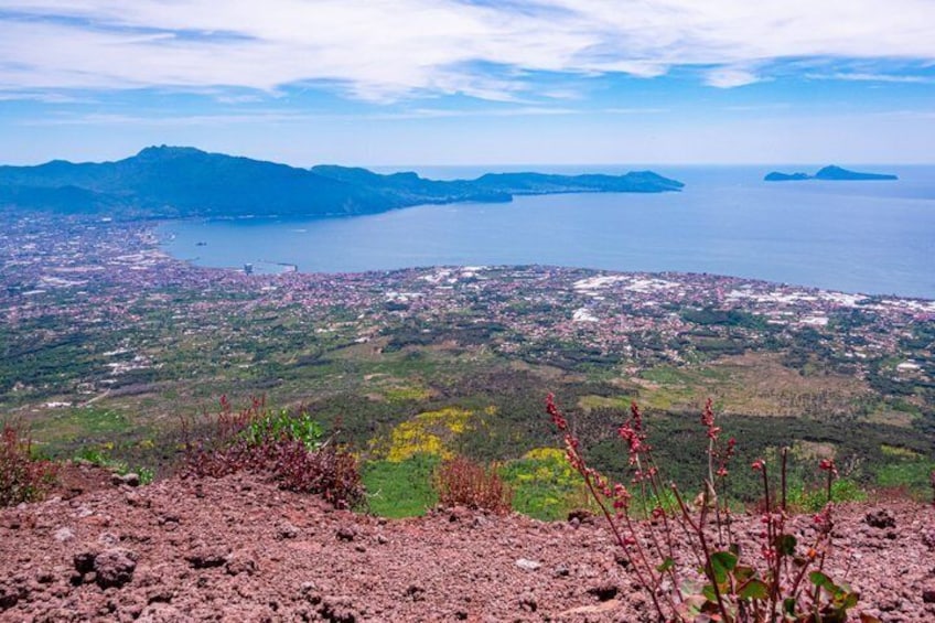 Tour Mount Vesuvius with Entry Tickets and Round Trip Transfer Included 3