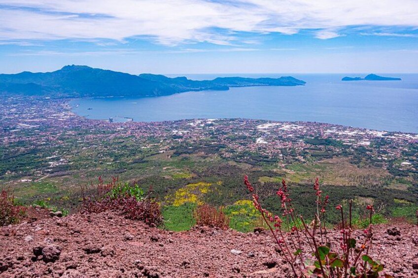 Tour Mount Vesuvius with Entry Tickets and Round Trip Transfer Included 3