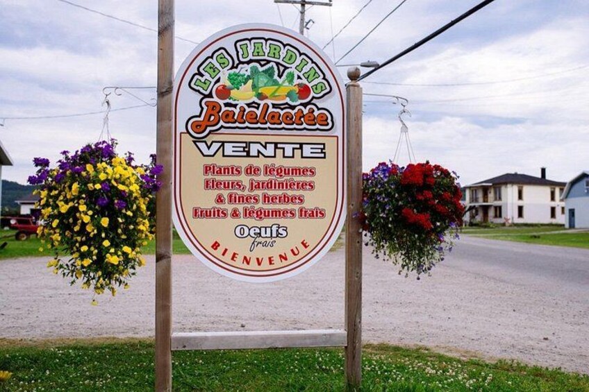 A roadside sign for a garden center with hanging flower baskets. 3