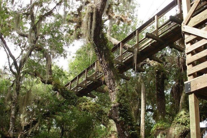 Myakka State Park E-bike Safari 1