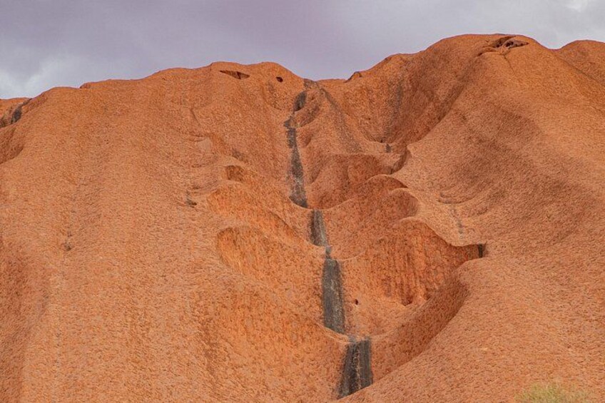 4 Day 3 Night Outback Escape from Ayers Rock 3