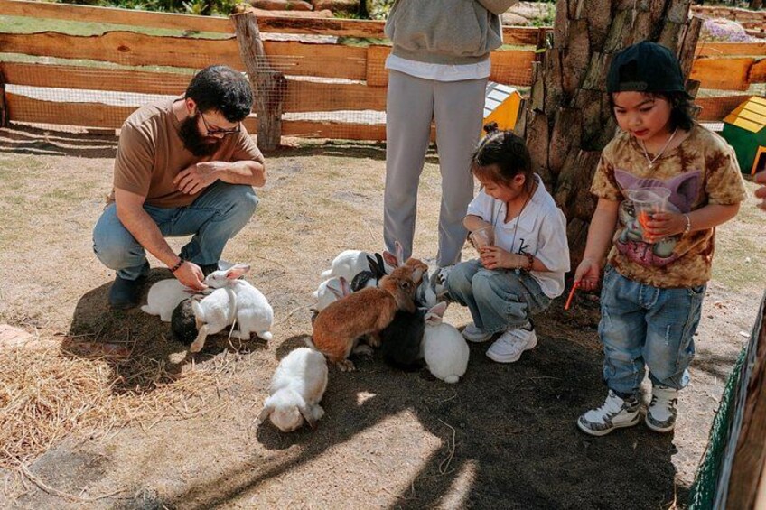 A man and children interacting with goats in a fenced area. 4