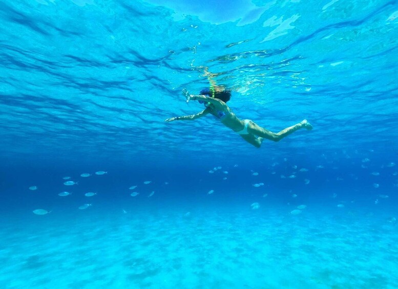 Picture 30 for Activity Ibiza: Snorkeling and SUP Paddle, Beach and Cave Tour 4