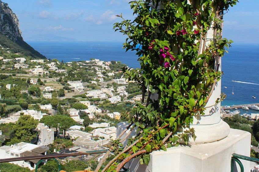 Capri Walking Tour with Local Guide 2