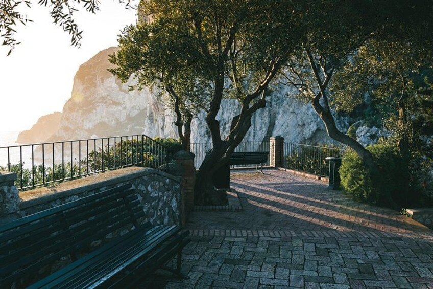 Capri Walking Tour with Local Guide 4
