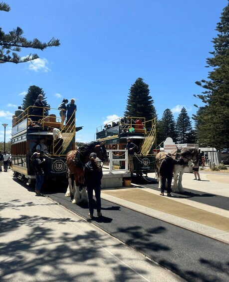 Picture 15 for Activity Adelaide: South Australia Guided Full-Day Highlights Tour 2