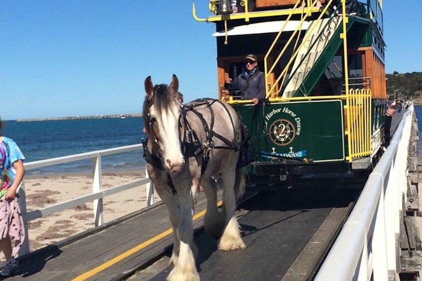 Adelaide: South Australia Guided Full-Day Highlights Tour 1
