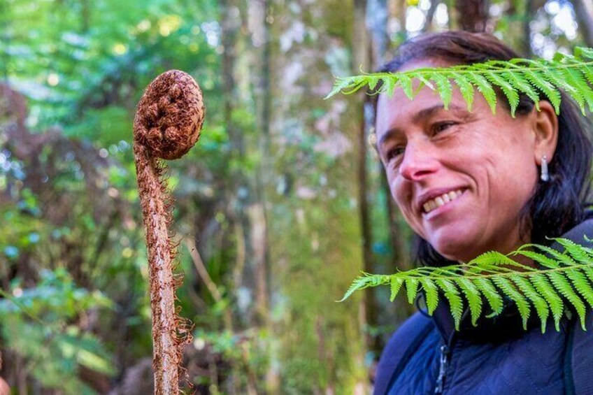 Iemand houdt een veenbesblad vast in een bos. 1