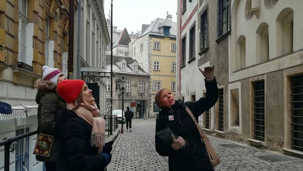 Picture 3 for Activity An Introduction to Vienna Walking Tour 4
