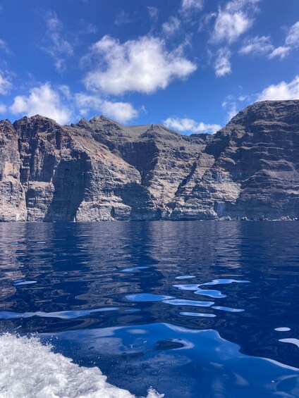 Picture 14 for Activity Tenerife: South Island Boat-Trip and Sea Excursion 3