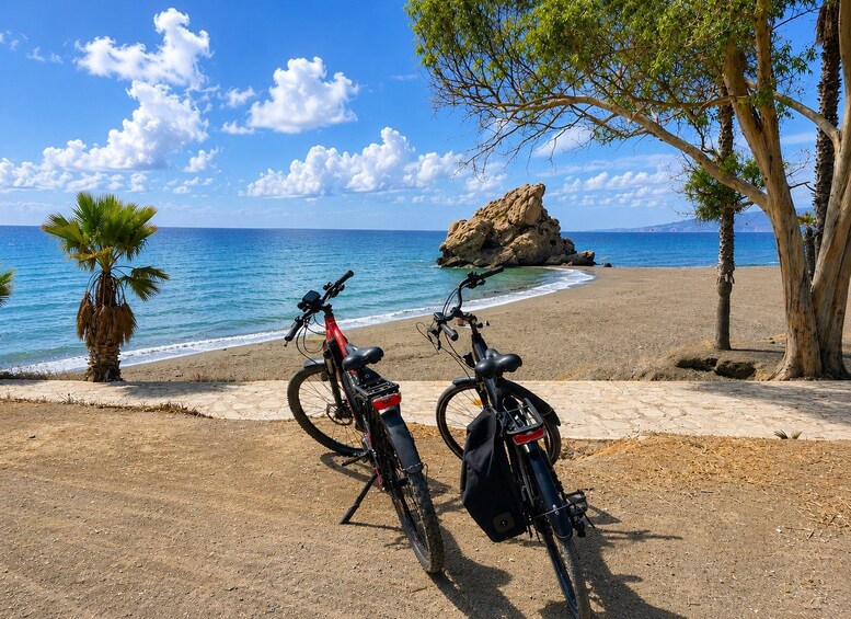Málaga: Full-Day Electric Bike Rental 1