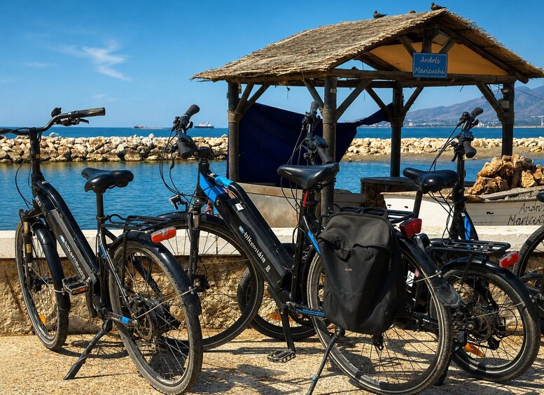 Picture 13 for Activity Málaga: Full-Day Electric Bike Rental 4