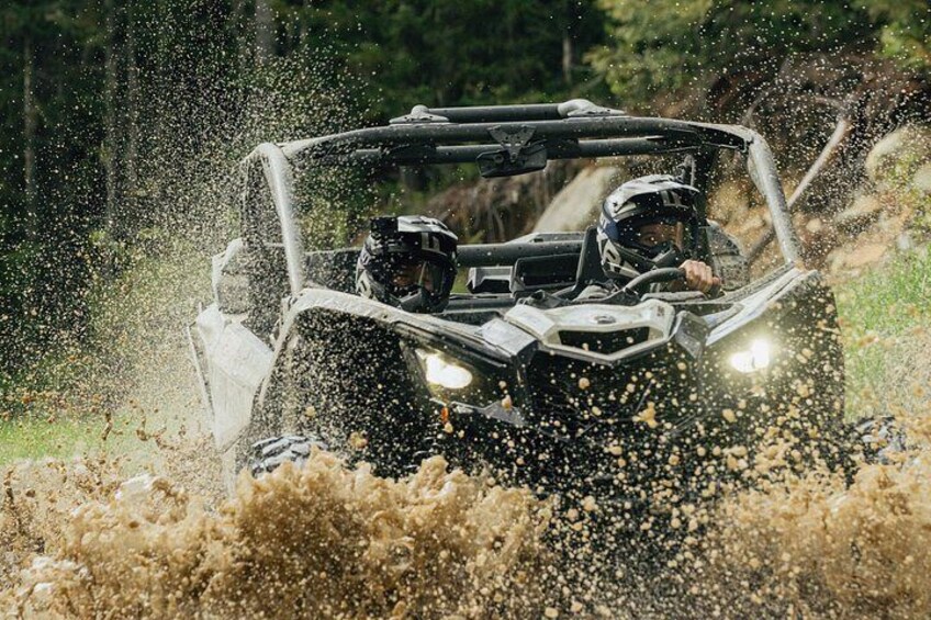 Side-by-Side Off-Roading Adventures on Cougar Mountain 2