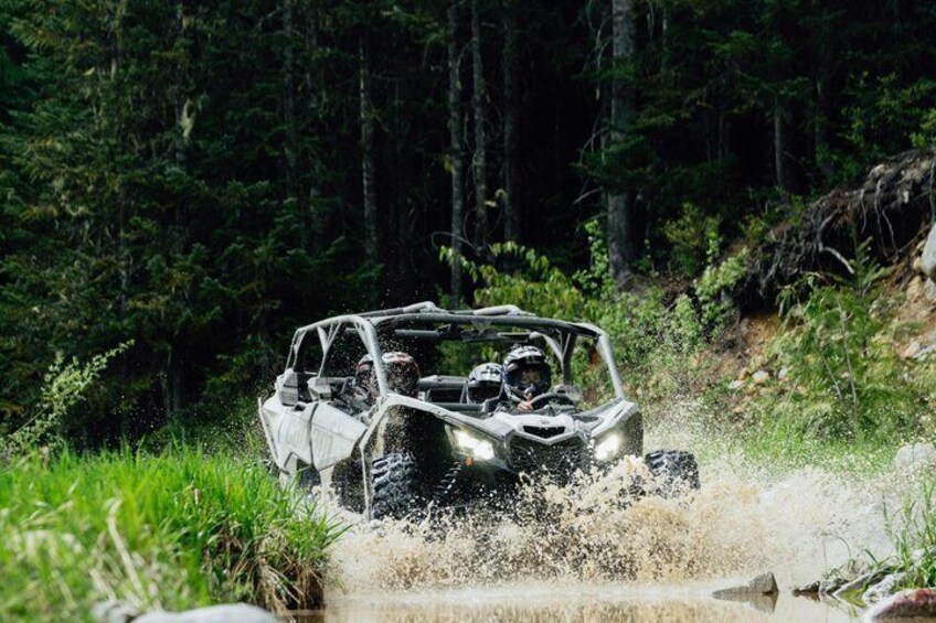 Side-by-Side Off-Roading Adventures on Cougar Mountain 2