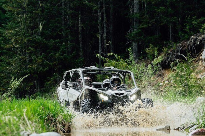 Side-by-Side Off-Roading Adventures on Cougar Mountain 2