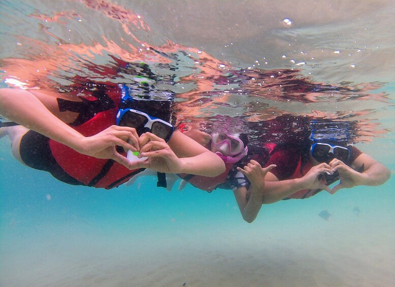 Picture 1 for Activity Gold Coast Kayak & Snorkel with Marine Life, Snacks & Photos 2