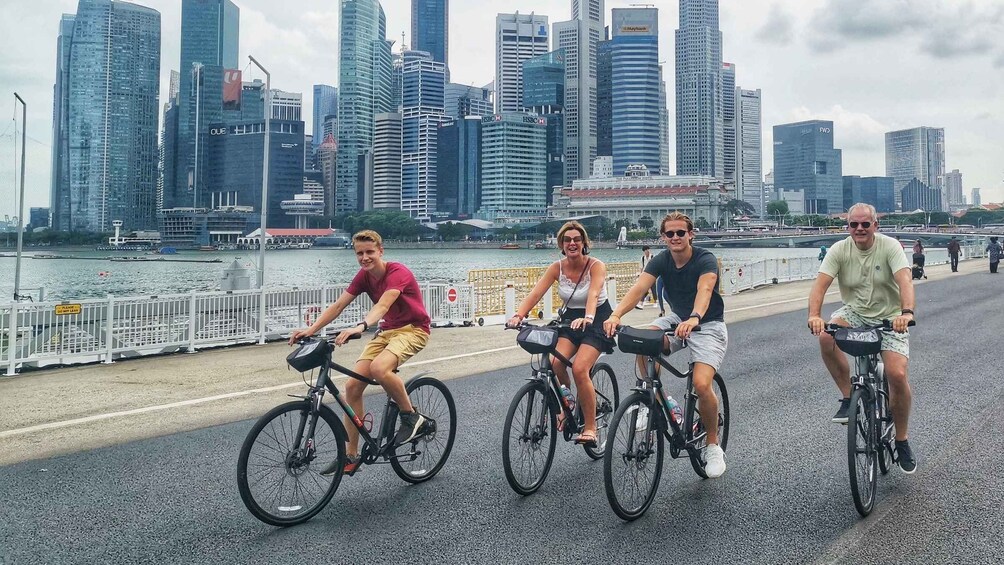 Picture 5 for Activity Singapore Highlights: Small Group Half-Day Bike Tour 2