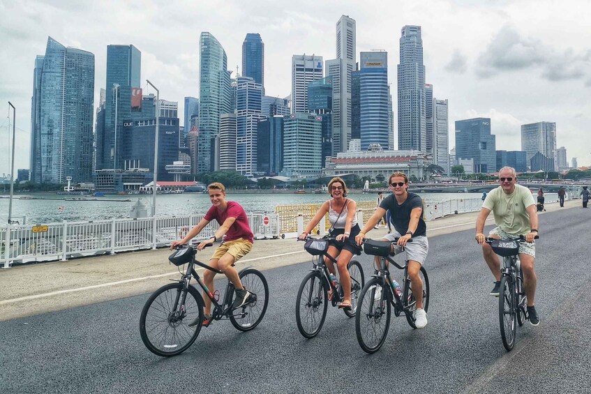 Picture 5 for Activity Singapore Highlights: Small Group Half-Day Bike Tour 2