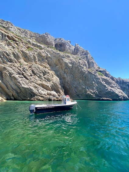 Picture 7 for Activity Lisbon: Boat, Wine, Tapas & SUP from Sesimbra - Arrábida 3