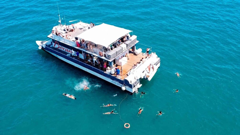 Picture 1 for Activity Valencia: Catamaran Cruise, Paella Lunch and Swim Stop 2