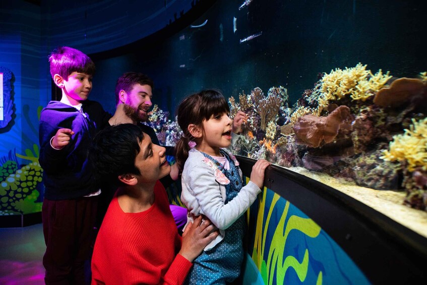 People observing an aquarium with coral displays. 2