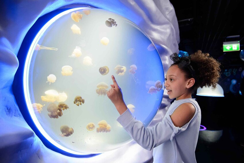 A person pointing at jellyfish in a large, illuminated aquarium. 4