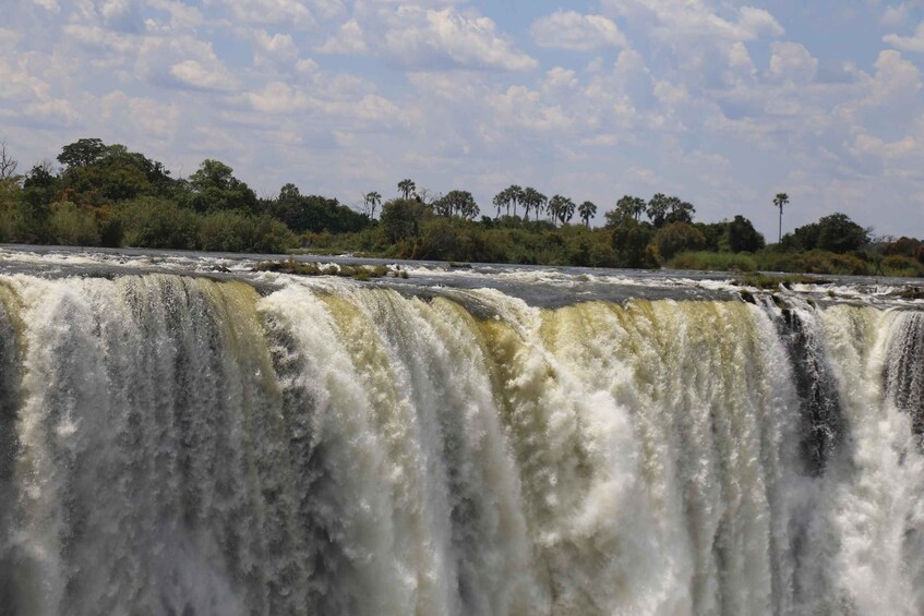 Picture 8 for Activity Victoria Falls: Private Guided Tour of the Waterfalls 1