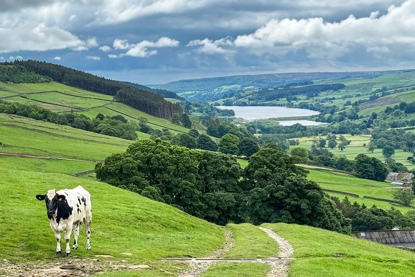 From York: Herriot and Yorkshire Dales Day Trip 1