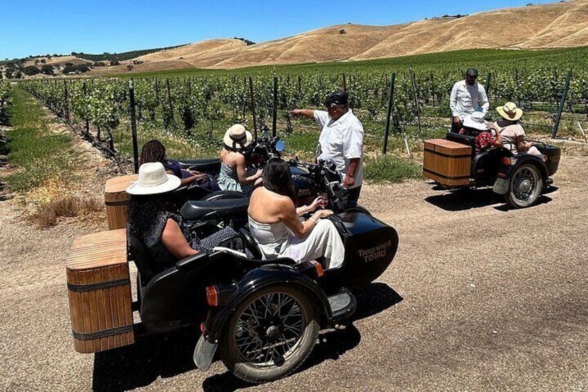 Vineyard Tour Paso Robles Sidecar Wine Adventure 3