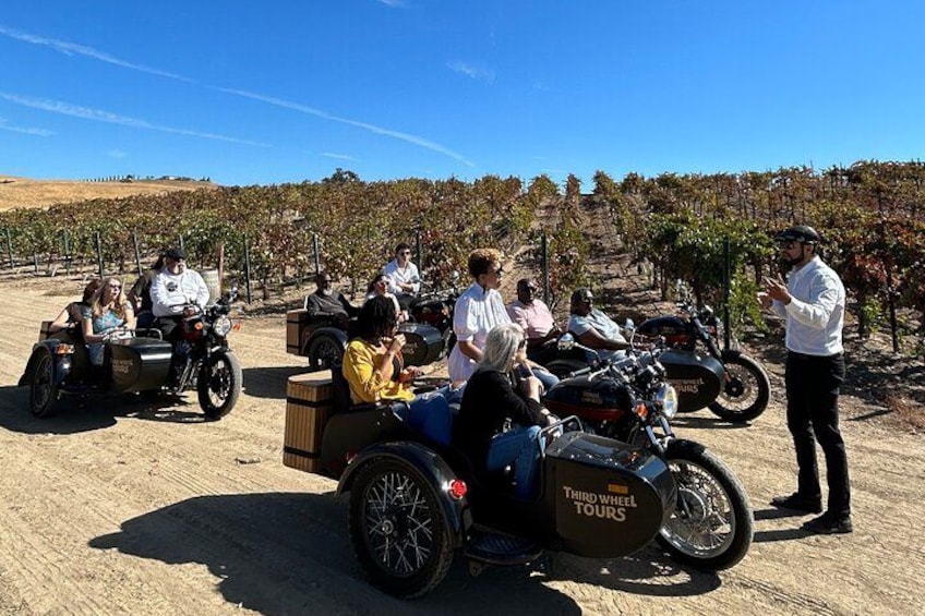 A group of people on motorcycles and sidecars in a vineyard. 4