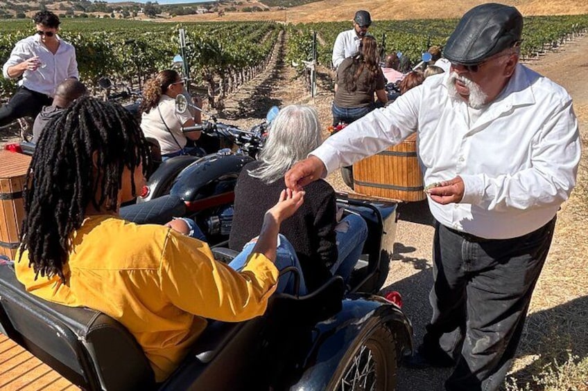 A vineyard with people in wheelchairs and a man in a white shirt. 5