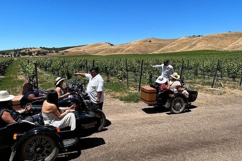 Vineyard Tour Paso Robles Sidecar Wine Adventure 4