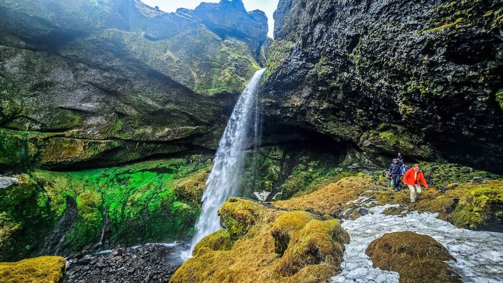 A waterfall cascading down a rocky cliff surrounded by lush greenery. 3