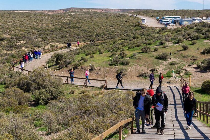 A group of people walking on a wooden boardwalk in a natural landscape with sparse vegetation and distant vehicles. 5