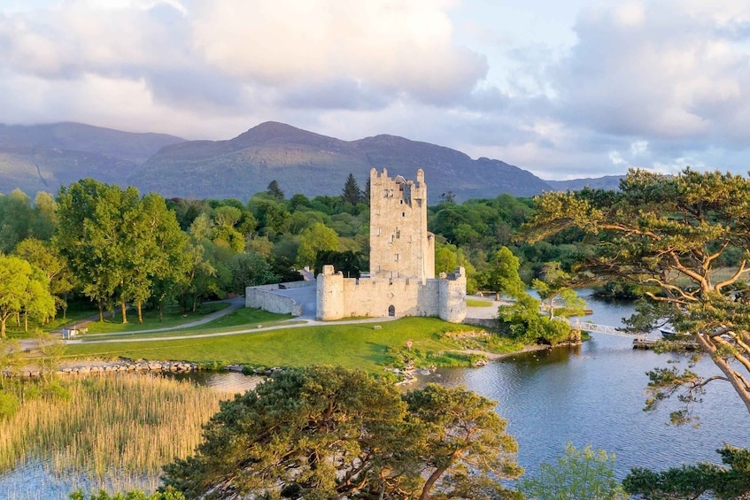 Picture 2 for Activity Killarney: Views & Brews Jaunting in Killarney National Park 2